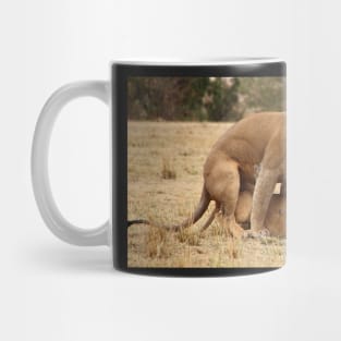 Domestic Violence. Lions Copulating, Maasai Mara, Kenya Mug